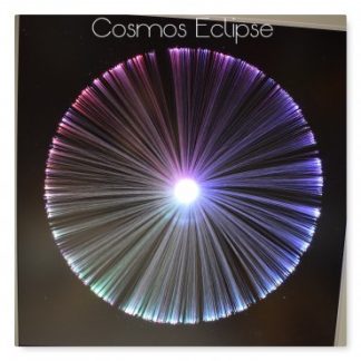 the-sensory-cosmos-panel-eclipse