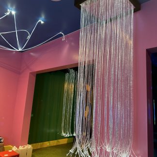 Fibre Optic Shower