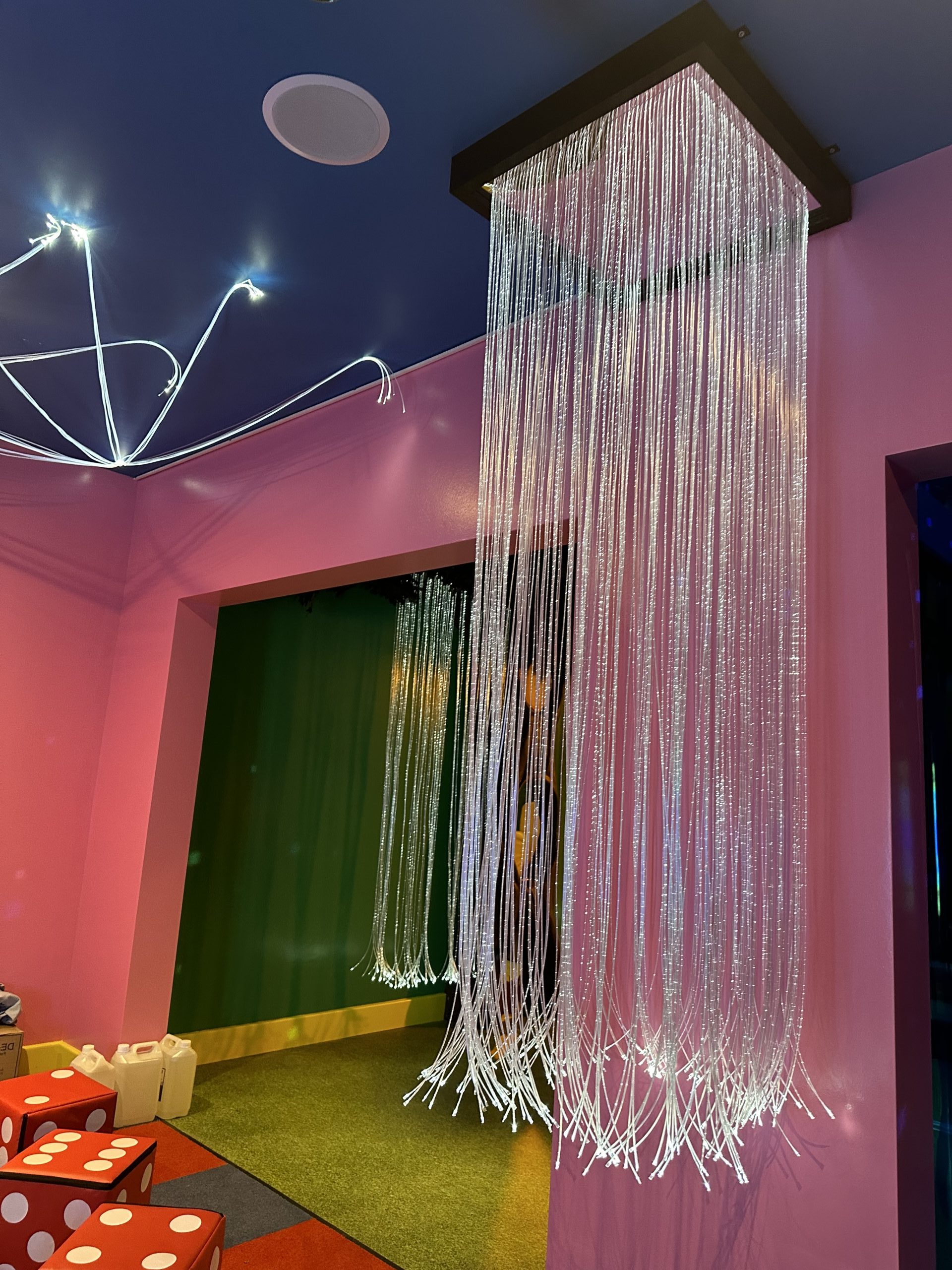 Fibre Optic Shower