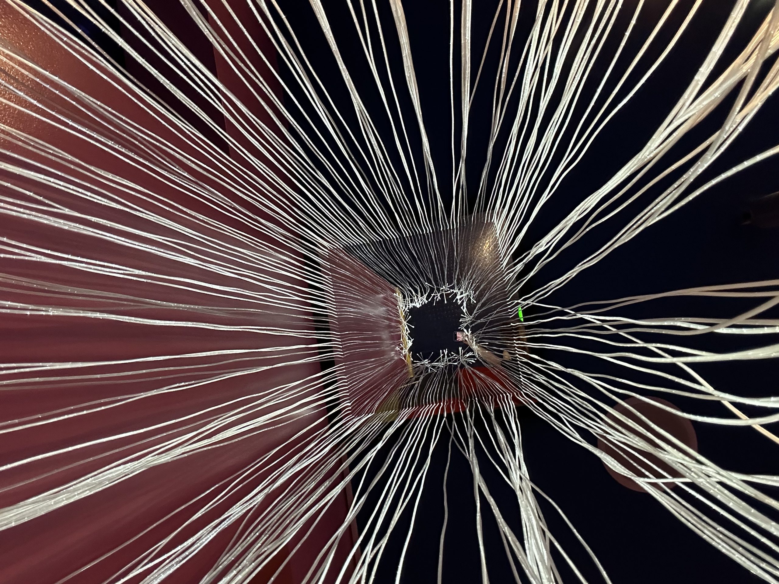 Fibre Optic Shower - Image 13