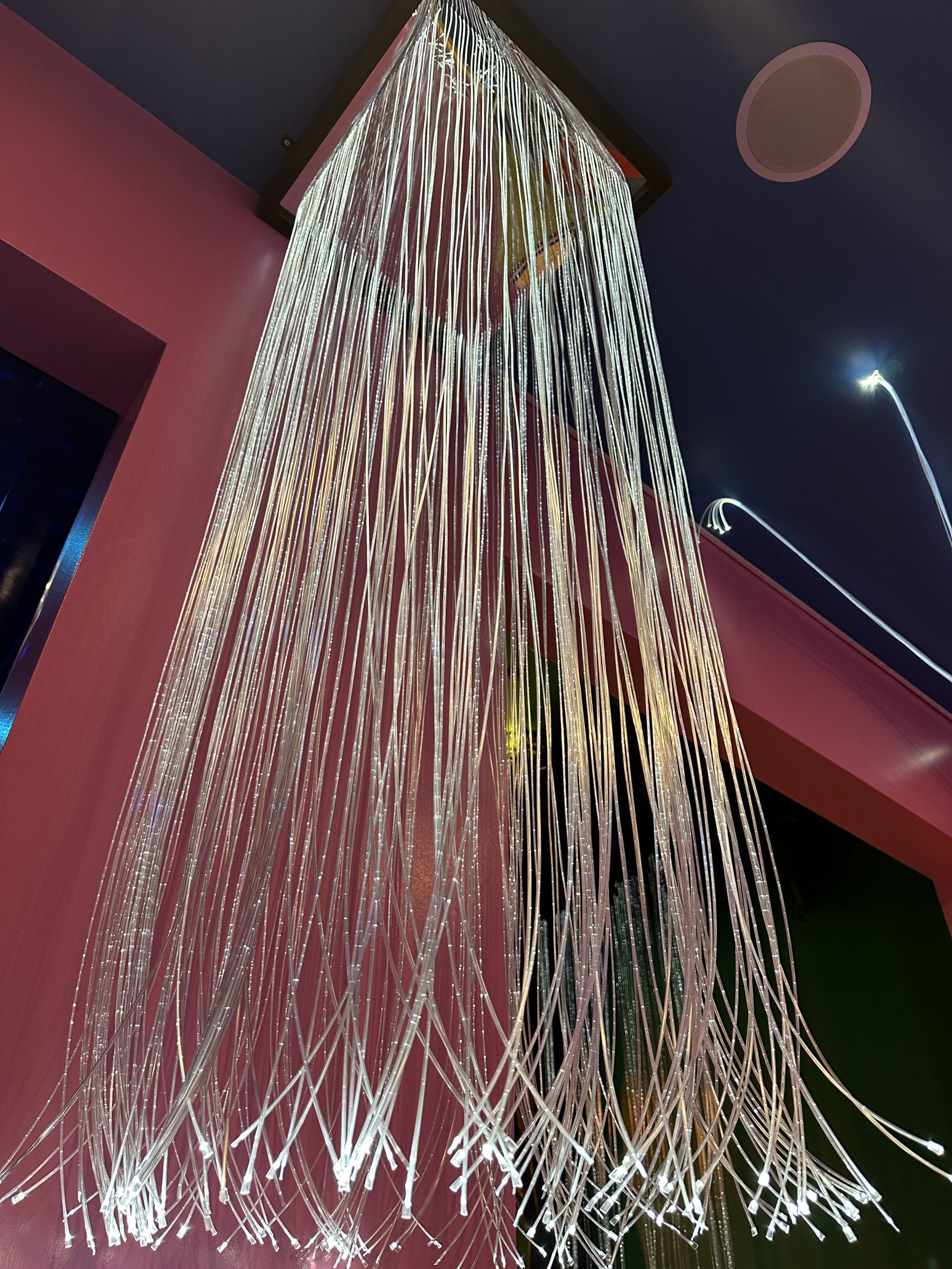 Fibre Optic Shower - Image 14