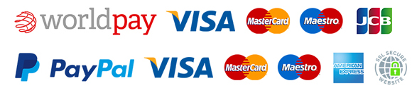 Secure online payments